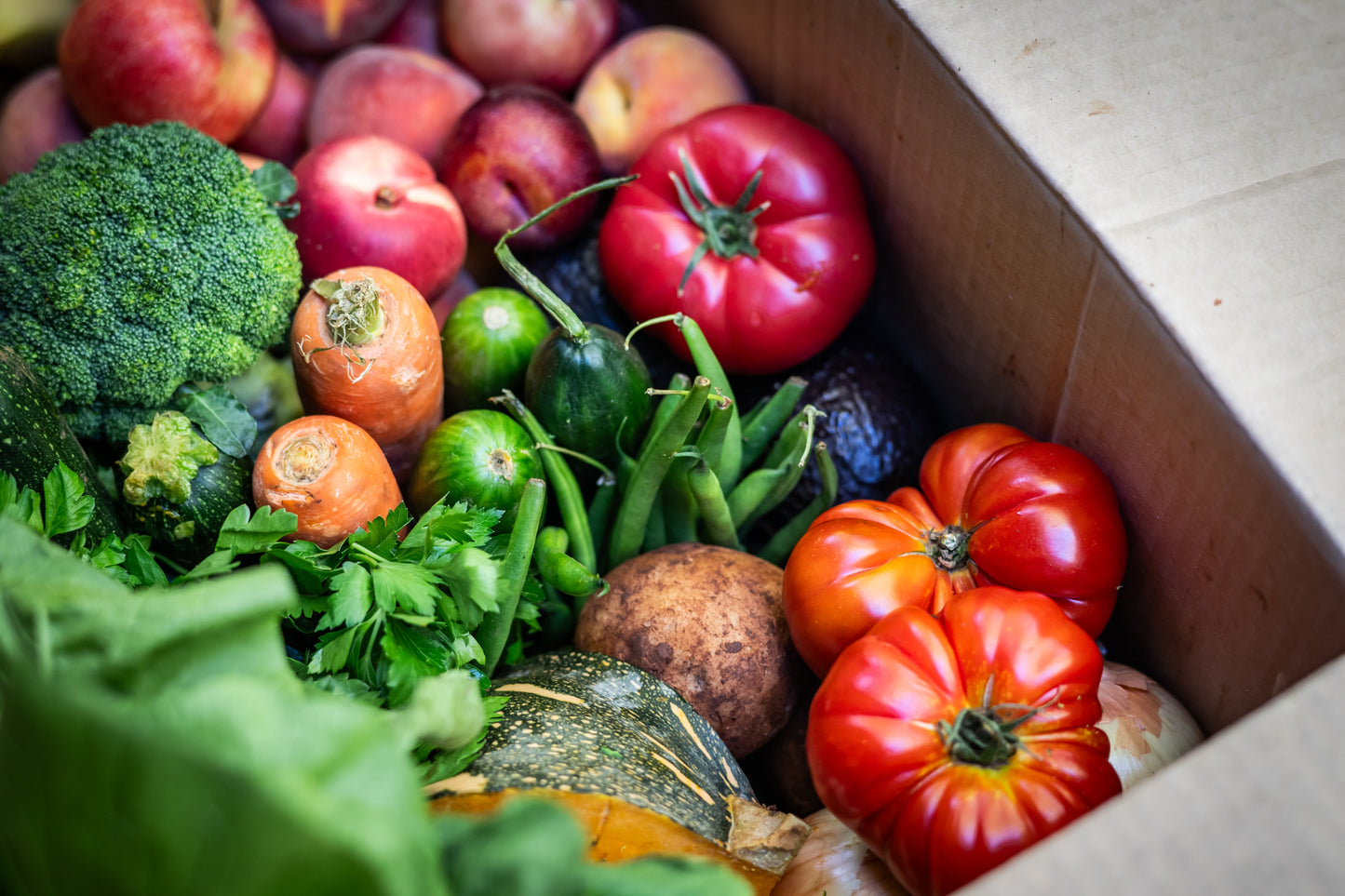 Mixed box of produce including tomatoes, beans, cucumber, carrots, zucchinis, pumpkin, parsley, plums and peaches