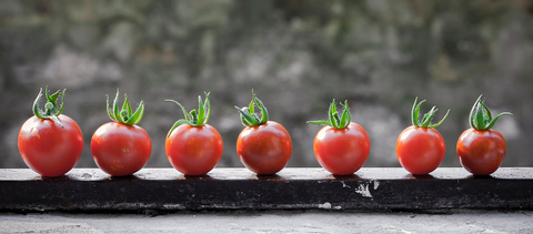 8 fruits and vegetables you can grow in an apartment