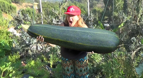25 Genius Things You Can Do With A Zucchini