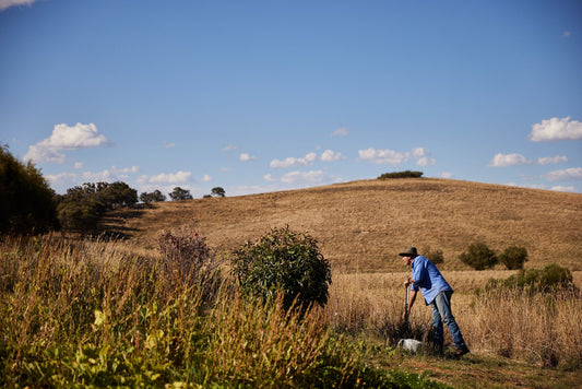 Australia’s Veggie Problem — And Why Farmers Are Key to the Solution