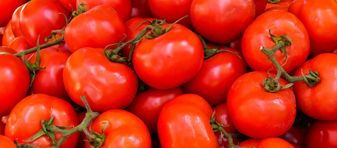 History of the tomato – the world's most controversial vegetable (or fruit?)