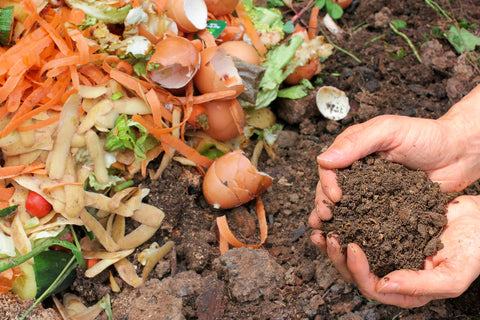 Composting Vs. Waste: What You Need To Know