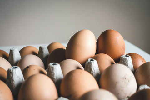 Like Good Food? Here’s Why You Need True Free Range Eggs