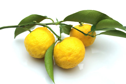 Do You Know About The “Ugly Lemons”, Yuzu?