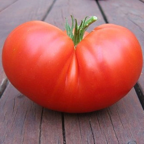 It’s not just about the sauce: Why tomatoes and lycopene are a nutritional hero