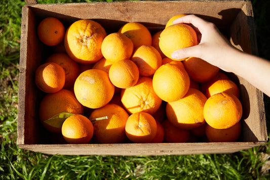 Hand-picked local oranges (10 - 12 kg / carton)