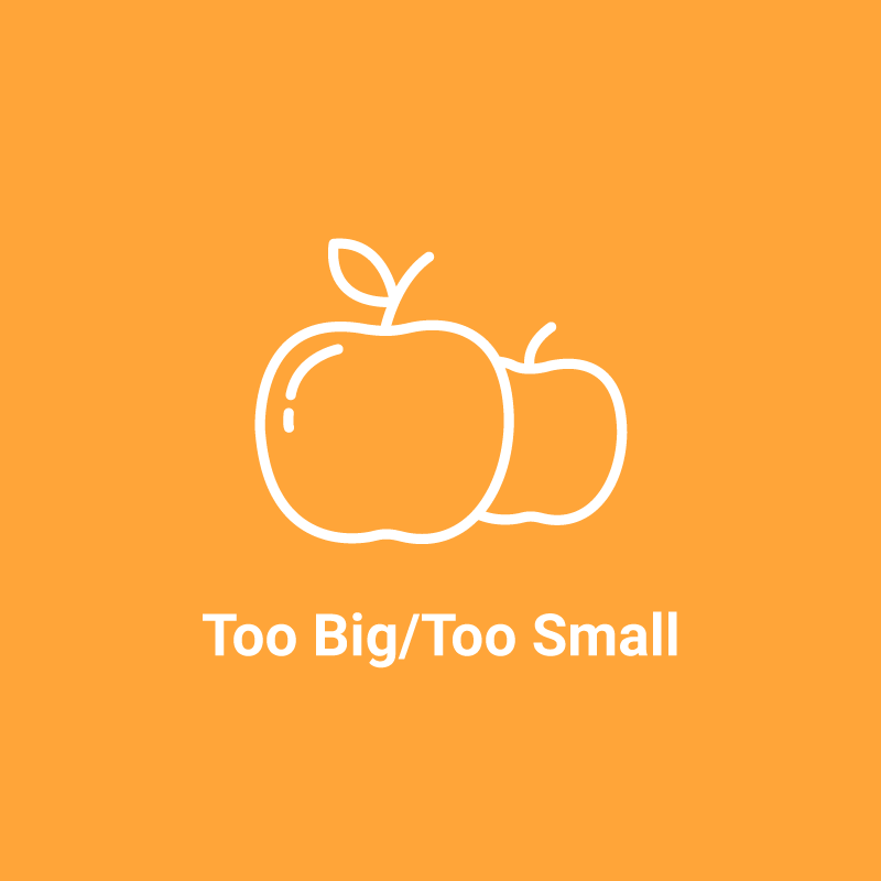Too Big/Too Small