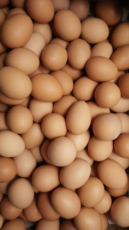 Free Range Pasture-Raised Eggs 800g